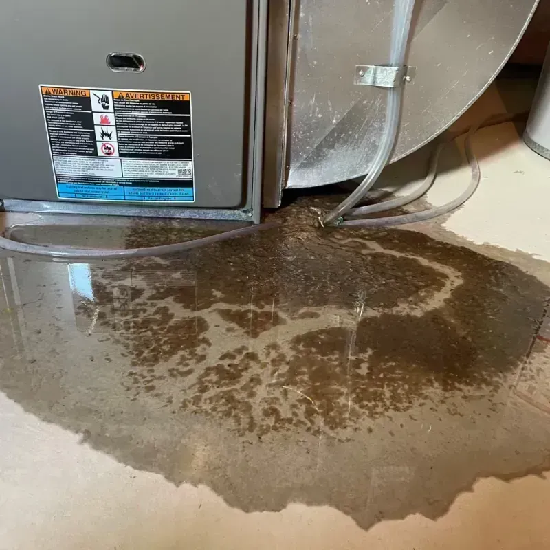 Appliance Leak Cleanup in Marmaduke, AR